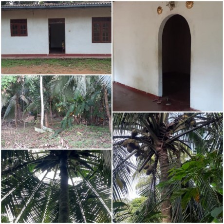 Land with House for Sale -  Panadura