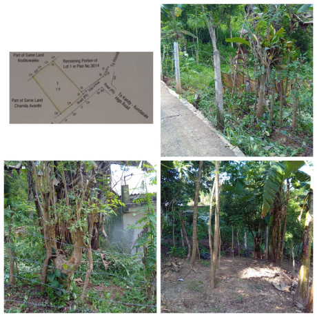 LAND FOR SALE IN THALWATHTHA
