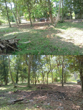 LAND FOR SALE IN KULIYAPITIYA
