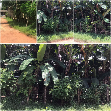 LAND FOR SALE IN KATUNAYAKA - MINUWANGODA