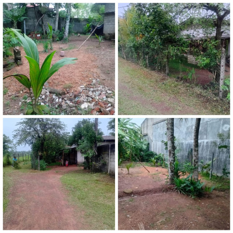 LAND FOR SALE IN HOMAGAMA