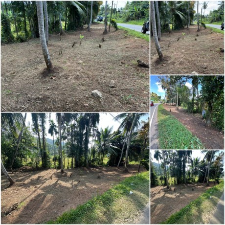 Bare Land for Sale in Horana