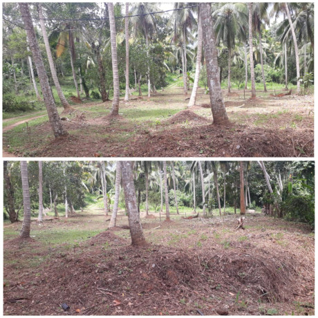 Land For Sale in Polgahawela,Kegalle
