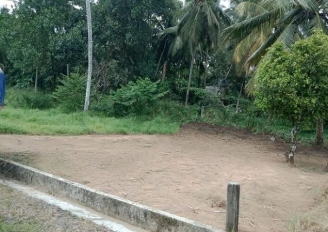 Land for sale at Ranala Dedigamuwa