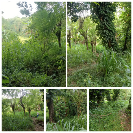 LAND FOR SALE IN KURUNEGALA