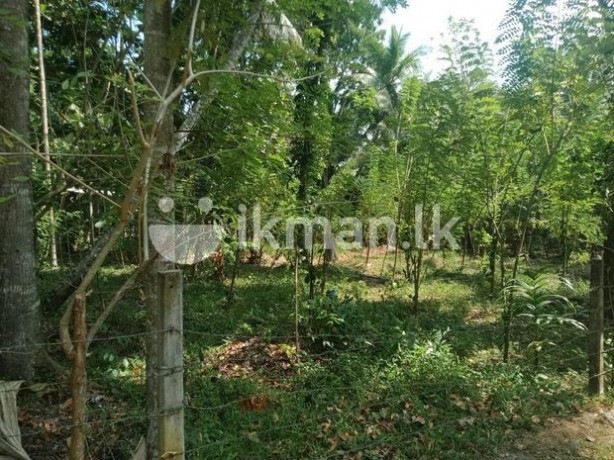 Land for sale in Kegalle