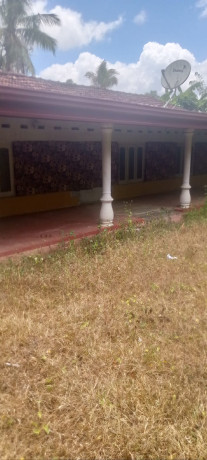 House For Sale in Kuliyapithiya