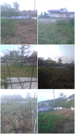 Land for Sale in Horana