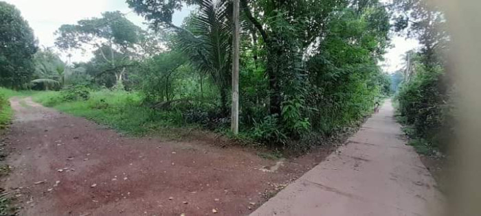 LAND FOR SALE IN UDUBEDDAWA