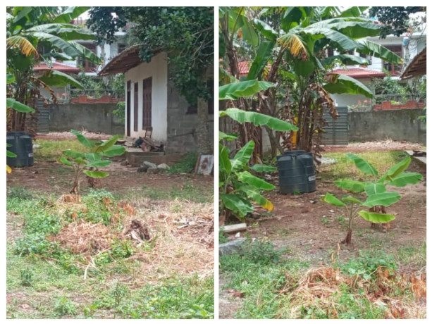 HOUSE FOR SALE JA-ELA