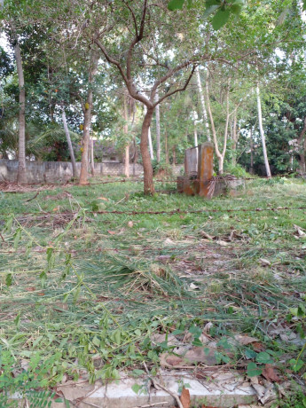 LAND FOR SALE IN ANURADAPURA