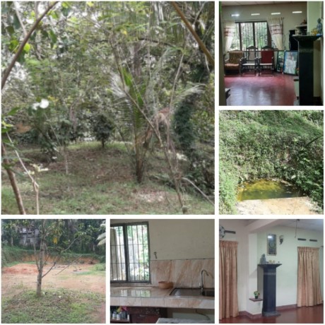 House Sale In Dompe