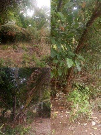 Land For Sale In Anuradhapura