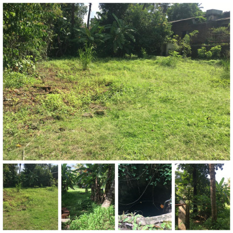 LAND FOR SALE IN POLGAHAWELA