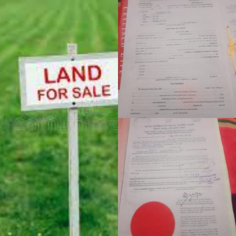 Land For Sale In Bandarawela