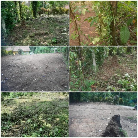 Land For Sale In  Rukgahawila ( Nittabuwa)