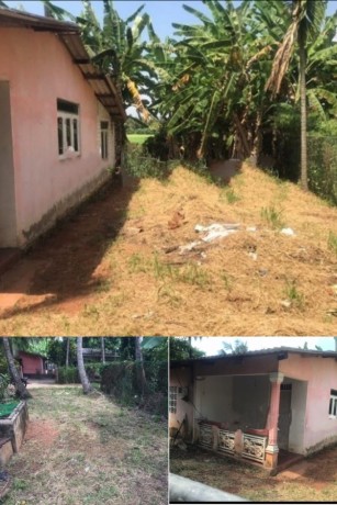 House with  Land for sale Anuradhapura
