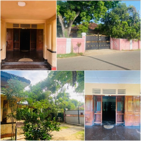 Land With House For Sale In Chilaw