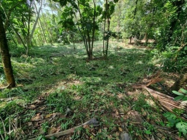 Land For sale In Kandy