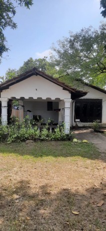 Land with  House for Sale in Dalupotha Negombo