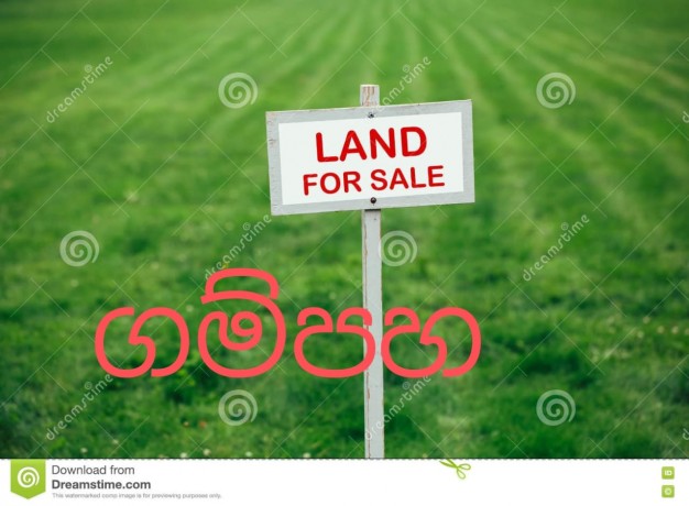 Land for Sale in Miriswatta
