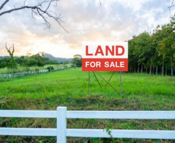 land sale in Anuradhapura