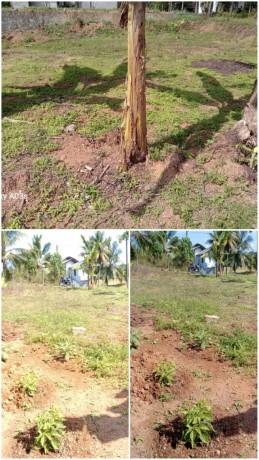 Land For Sale In Kirindiwela