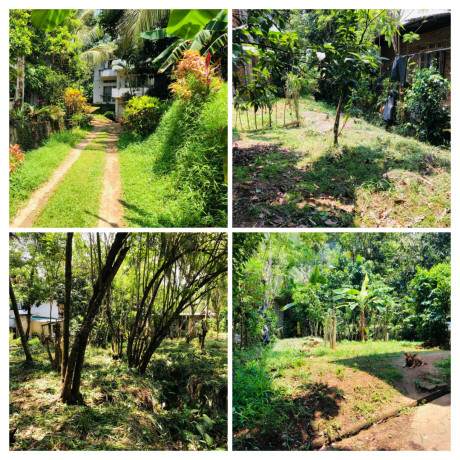 LAND FOR SALE IN WATTARATHTHANNA