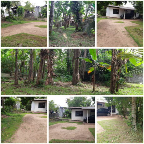 LAND FOR SALE IN KOTTAWA