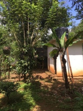Agricultural land with house for sale