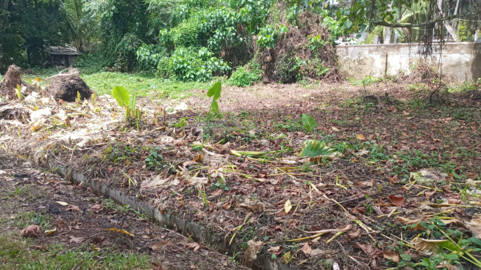 LAND FOR SALE IN HORANA