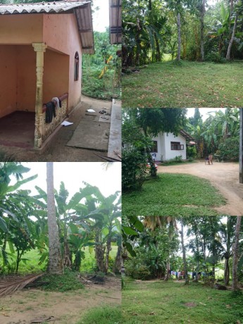 House For Sale in Nittambuwa