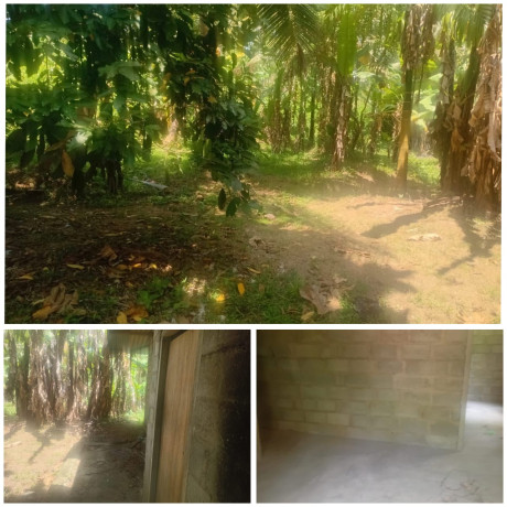House For Sale in Ibbagamuwa