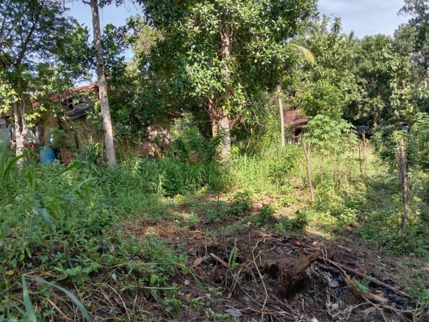 Land for Sale in Ratnapura