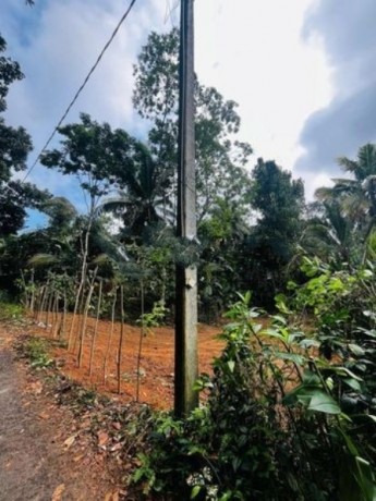 Land for Sale in Galle Hapugala