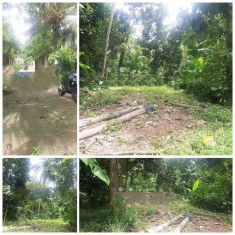 Land for Sale in Gampaha