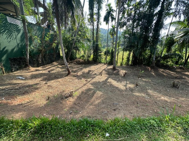 Bare Land for Sale in Horana