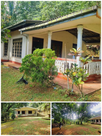 HOUSE FOR SALE IN PADUKKA