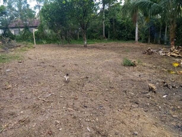 Land for Sale in Bandaragama