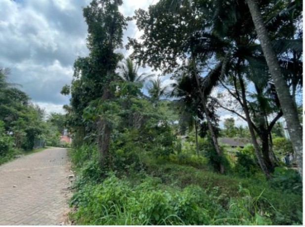 Land For Sale In MIRIGAMA