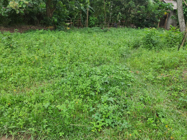 LAND FOR SALE IN KATUNAYAKA