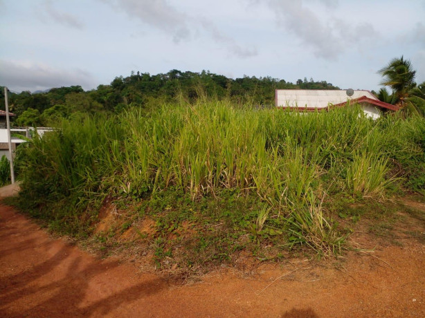 LAND FOR SALE IN PELMADULLA