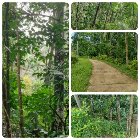 Land for sale Kandy
