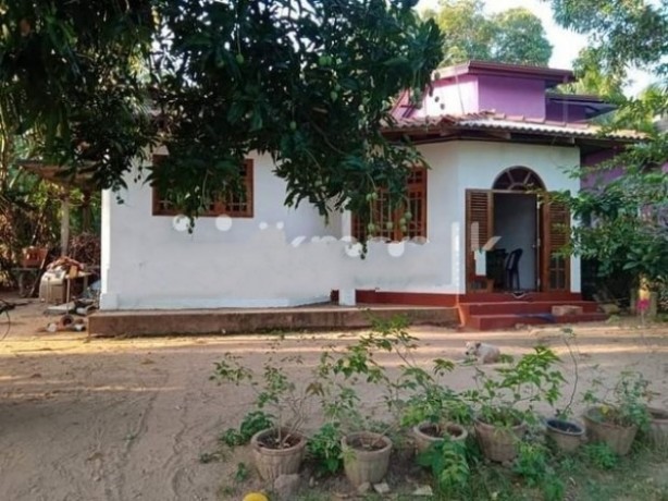 House For Sale Buttala