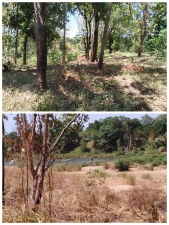 Land For Sale in Mahiyanganaya