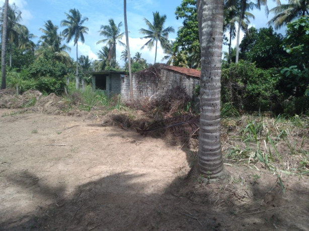LAND FOR SALE IN KURUNAGALA