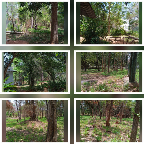 LAND FOR SALE IN HABARANA