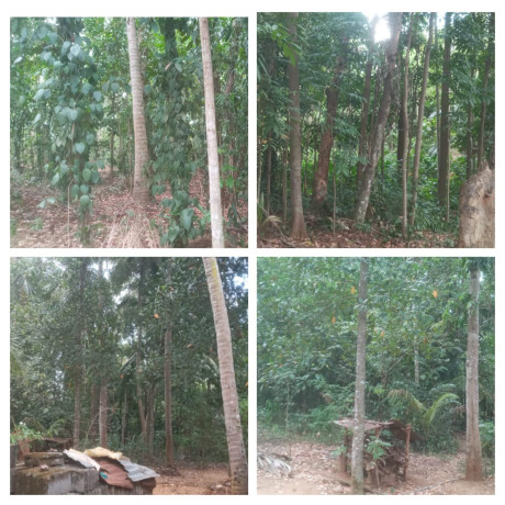 Commercial land & House for sale Embilipitiya