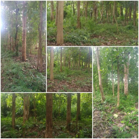 land sale in negombo