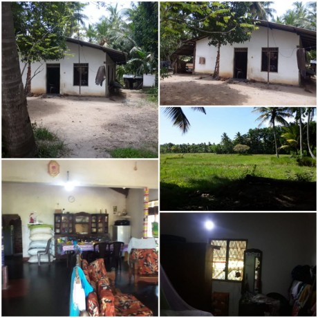House with land sale in Polonnaruwa